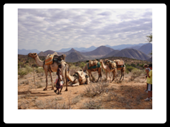 north-kenya-camel-safari.png